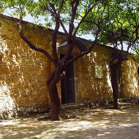 Ardena Maison d'hôtes